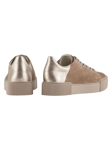 Högl Leren sneakers "Blade" taupe