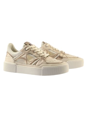 Högl Leder-Sneakers "Frankie" in Creme/ Gold