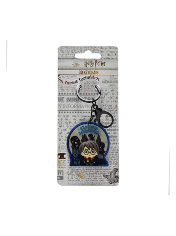 Harry Potter Sleutelhanger "Harry Potter"