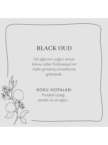 BELLA MAISON Raumduftdiffuser "Black Oud" - 250 ml