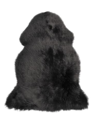 Kaiser Naturfellprodukte Lamsvacht antraciet