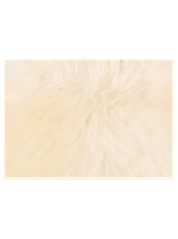 Kaiser Naturfellprodukte Wyściółka dekoracyjna w kolorze kremowym