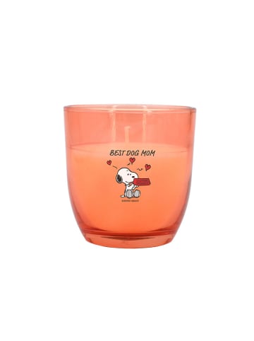 Peanuts Świece zapachowe (5 szt.) "Peanuts"