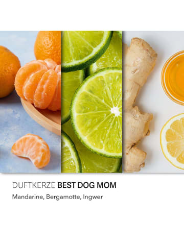 Peanuts Świeca zapachowa "'Peanuts Best Dog Mom'' - 250 g