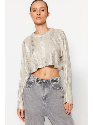 trendyol Trui grijs/zilverkleurig