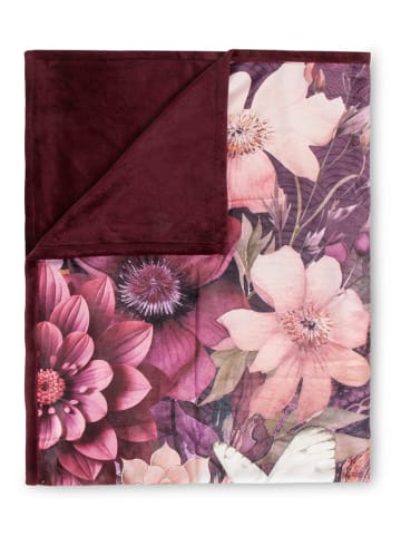 Hip Plaid "Asher" in Rosa/ Bordeaux