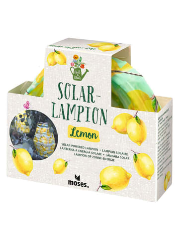 moses. LED-Solarleuchte ''Blatt & Blüte'' in Gelb - (H)19 x Ø 14 cm