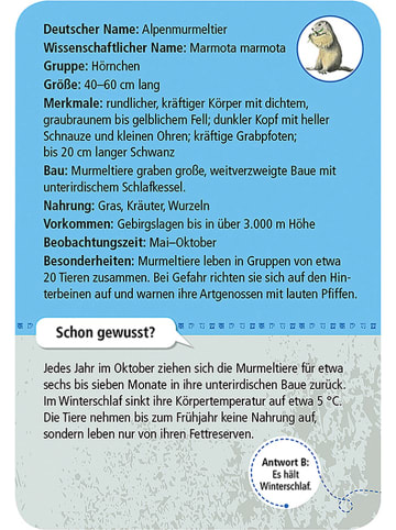 moses. Kartenset "50 heimische Tiere & Pflanzen im Gebirge" - ab 6 Jahren