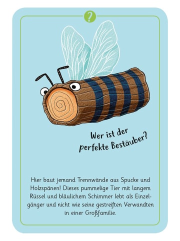 moses. Kartenspiel "50 wundersame Tierrätsel - Insekten" - ab 7 Jahren