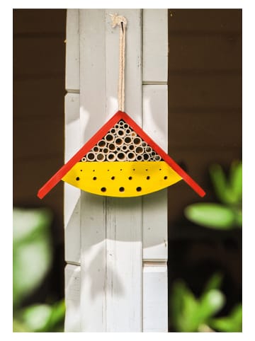 moses. Insectenhotel "Kruipende kever" - vanaf 3 jaar