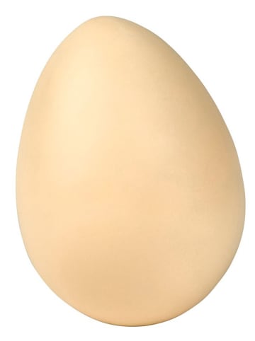 moses. 2-delige set: experimenteerset "Dino's in Ei" - vanaf 6 jaar (verrassingsset)