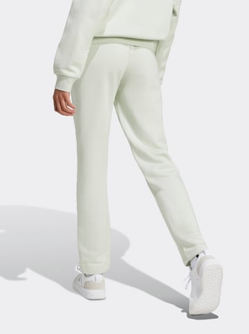 adidas Spodnie dresowe w kolorze jasnozielonym