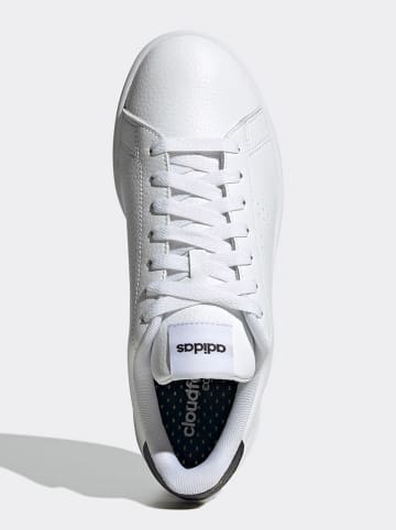 adidas Sneakers wit/zwart