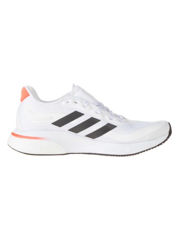 adidas Buty "Supernova" w kolorze białym do biegania