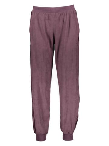 adidas Sweatbroek paars