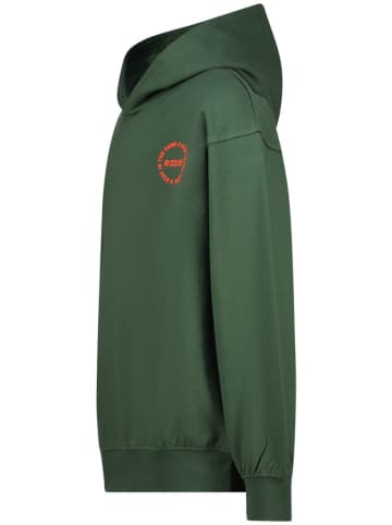 RAIZZED® Hoodie groen