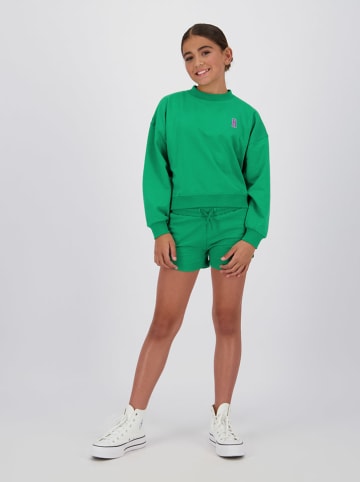 RAIZZED® Short groen