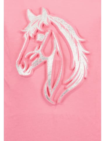 Blue Seven Longsleeve in Rosa