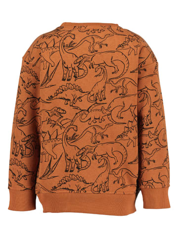 Blue Seven Sweatshirt oranje