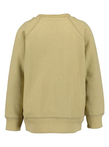 Blue Seven Sweatshirt in Hellbraun