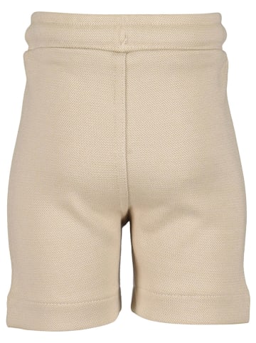 Blue Seven Shorts in Beige