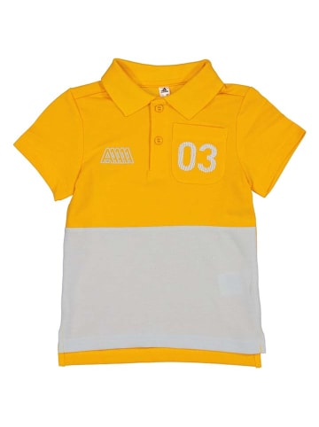 adidas Koszulka polo w kolorze żółto-jasnoszarym