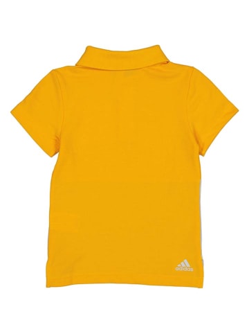adidas Koszulka polo w kolorze żółto-jasnoszarym