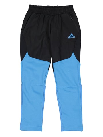 adidas Sweathose in Schwarz/ Blau
