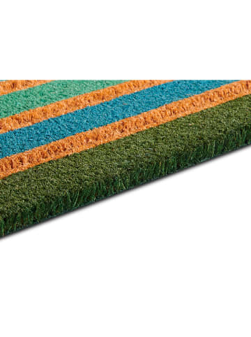 Hanse Home Wycieraczka "Colorful Stripes" w różnych kolorach z włókna kokosowego