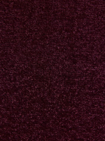 Hanse Home Kurzflor-Teppich "Nasty" in Beere