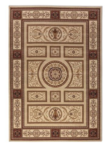 Nouristan Kurzflor-Teppich "Guzara" in Creme/ Braun