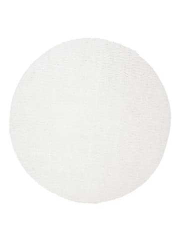 Safavieh Dywan "August" w kolorze białym