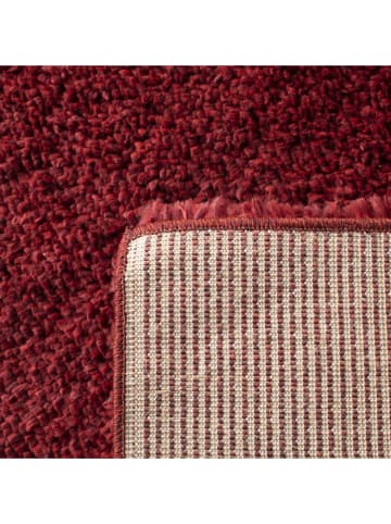 Safavieh Hochflor-Teppich "August" in Rot