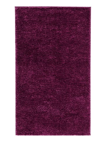 Safavieh Hochflor-Teppich "August" in Lila