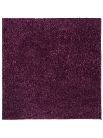 Safavieh Dywan w kolorze ciemnofioletowym