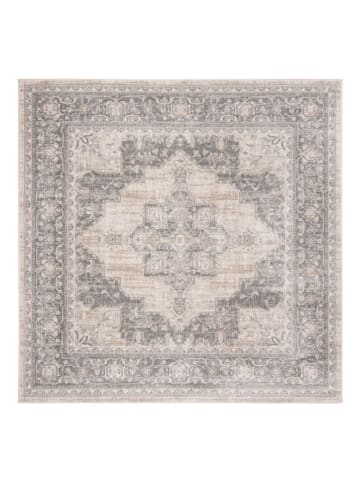 Safavieh Dywan "Brentwood" w kolorze jasnoszaro-beżowym