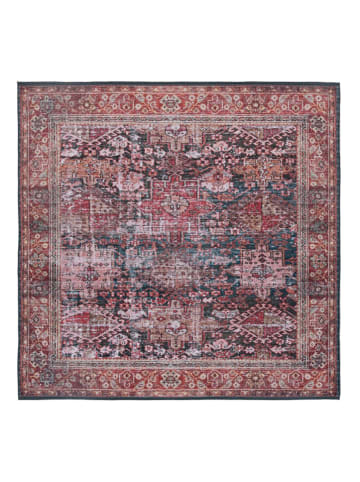 Safavieh Kurzflor-Teppich "Tuscon" in Bunt