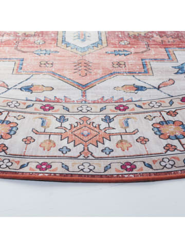 Safavieh Dywan "Tucson" w kolorze czerwono-kremowo-błękitnym