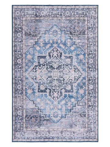 Safavieh Dywan w kolorze niebiesko-szarym