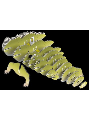 Eugy 3D--Bastelset "Brückenechse" - ab 6 Jahren