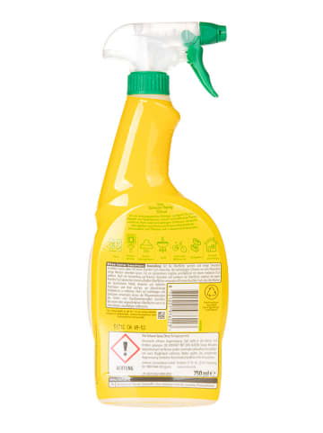 Viss 6er-Set: Schaum-Spray "Alleskönner -Cleanboost Citrus", je 750ml