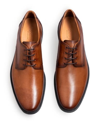 LLOYD Leder-Schnürschuhe "Nevio" in Hellbraun