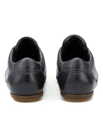 LLOYD Leder-Schnürschuhe in Dunkelblau