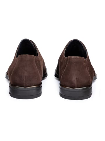 LLOYD Leren veterschoenen "Garrison" bruin