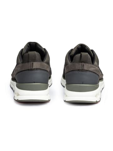 LLOYD Leren sneakers "Marduk" kaki