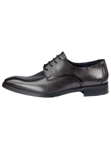 LLOYD Leder-Schnürschuhe "Opal" in Dunkelbraun