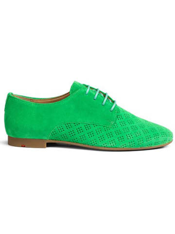 LLOYD Leder-Schnürschuhe in Grün