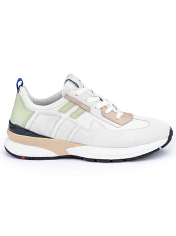 LLOYD Leder-Sneakers in Weiß/ Beige/ Salbei
