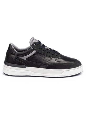 LLOYD Leder-Sneakers "Egilo" in Schwarz