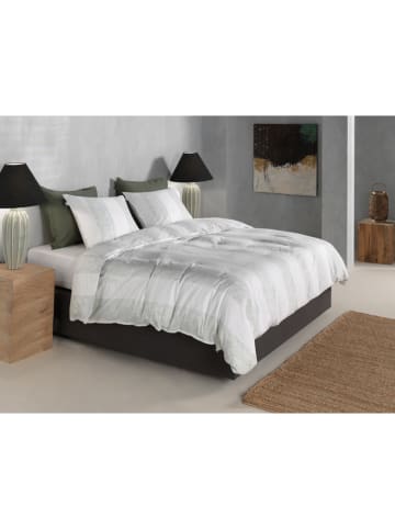 Zo!Home Mako-Satin-Bettwäsche-Set "Tratti di Satinado" in Weiß/ Grün